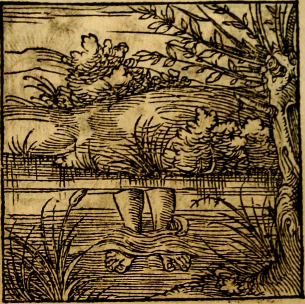 An illustration from Ori Apollonis Niliaci, de sacris notis & sculpturis libri duo, vbi ad fidem vetudti codicis manu scripti restituta sunt loca permulta, corrupta ante ac deplorata, 1551, leaf 117