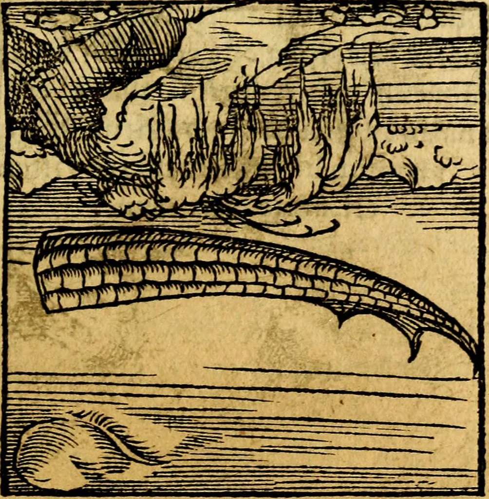 An illustration from Ori Apollonis Niliaci, de sacris notis & sculpturis libri duo, vbi ad fidem vetudti codicis manu scripti restituta sunt loca permulta, corrupta ante ac deplorata, 1551, leaf 122