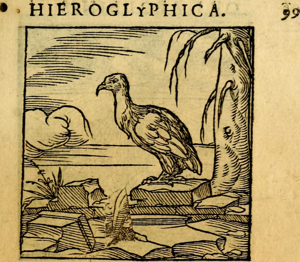 An illustration from Ori Apollonis Niliaci, de sacris notis & sculpturis libri duo, vbi ad fidem vetudti codicis manu scripti restituta sunt loca permulta, corrupta ante ac deplorata, 1551, leaf 126