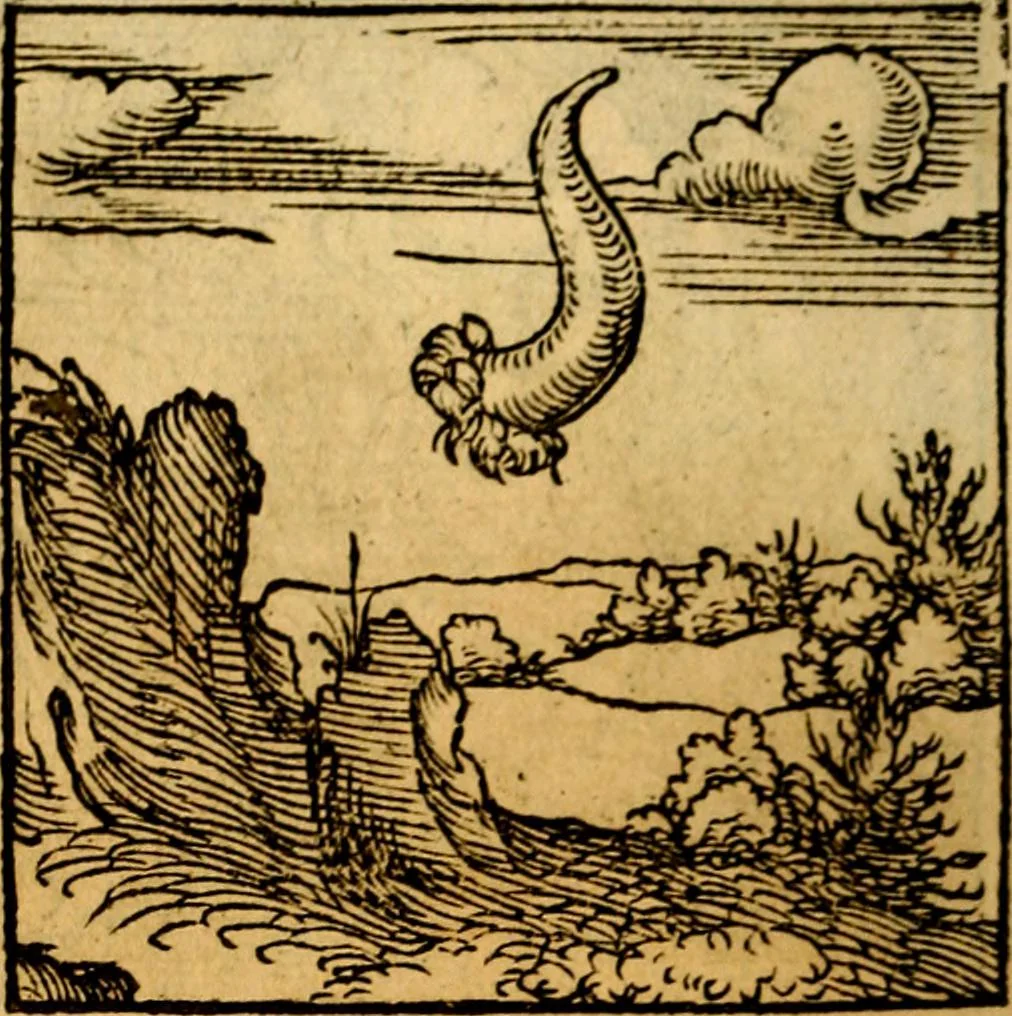 An illustration from Ori Apollonis Niliaci, de sacris notis & sculpturis libri duo, vbi ad fidem vetudti codicis manu scripti restituta sunt loca permulta, corrupta ante ac deplorata, 1551, leaf 141