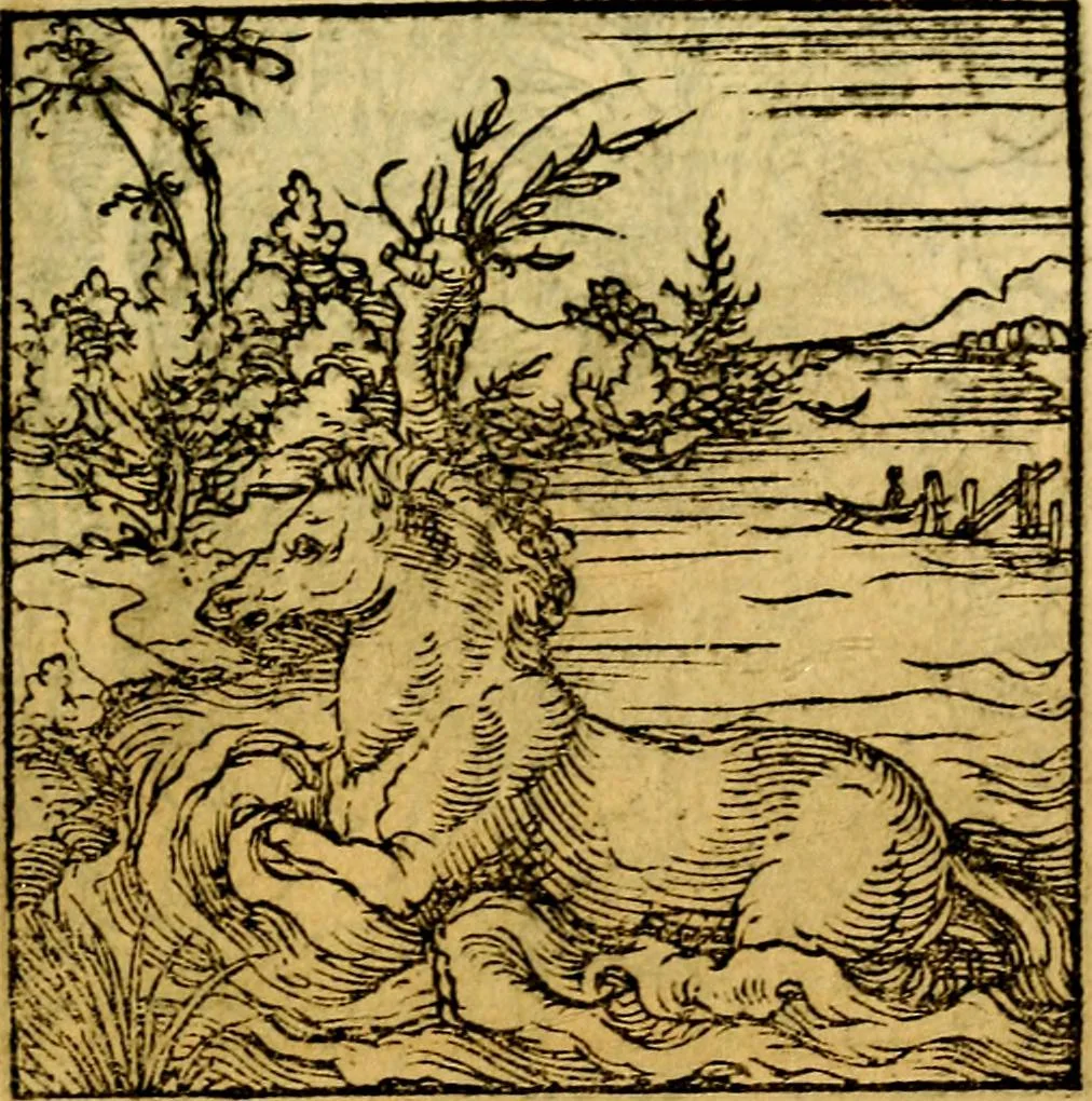 An illustration from Ori Apollonis Niliaci, de sacris notis & sculpturis libri duo, vbi ad fidem vetudti codicis manu scripti restituta sunt loca permulta, corrupta ante ac deplorata, 1551, leaf 144