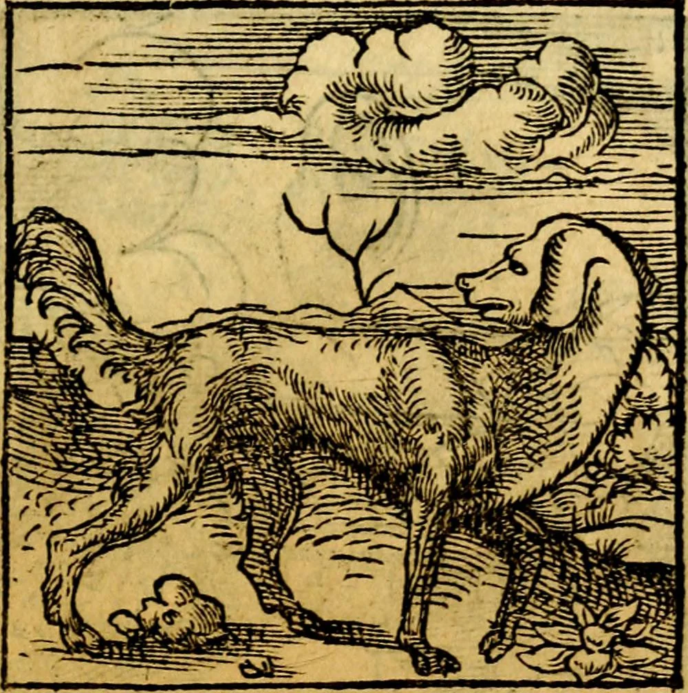 An illustration from Ori Apollonis Niliaci, de sacris notis & sculpturis libri duo, vbi ad fidem vetudti codicis manu scripti restituta sunt loca permulta, corrupta ante ac deplorata, 1551, leaf 146
