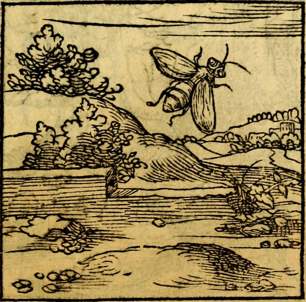 An illustration from Ori Apollonis Niliaci, de sacris notis & sculpturis libri duo, vbi ad fidem vetudti codicis manu scripti restituta sunt loca permulta, corrupta ante ac deplorata, 1551, leaf 148