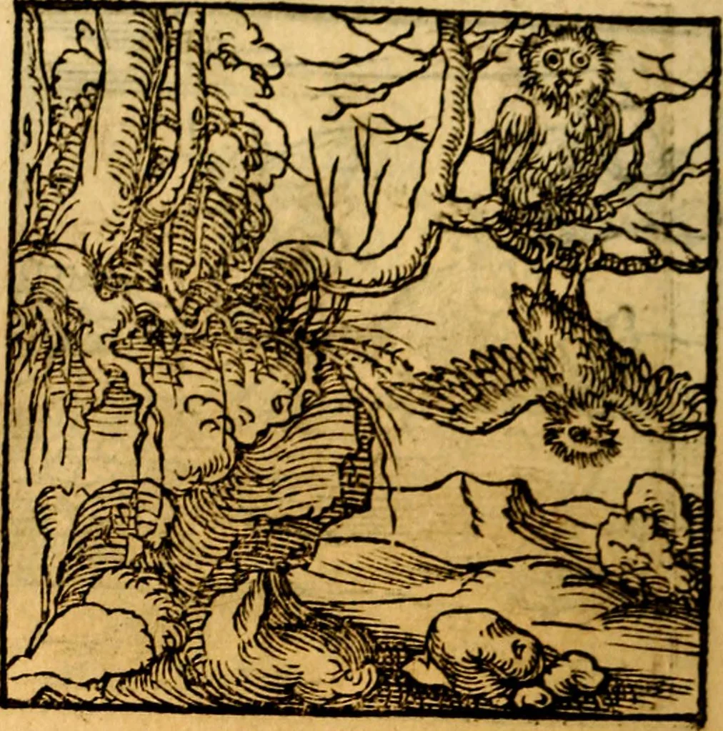 An illustration from Ori Apollonis Niliaci, de sacris notis & sculpturis libri duo, vbi ad fidem vetudti codicis manu scripti restituta sunt loca permulta, corrupta ante ac deplorata, 1551, leaf 149