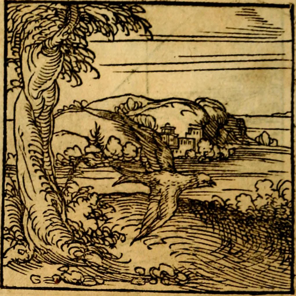 An illustration from Ori Apollonis Niliaci, de sacris notis & sculpturis libri duo, vbi ad fidem vetudti codicis manu scripti restituta sunt loca permulta, corrupta ante ac deplorata, 1551, leaf 155