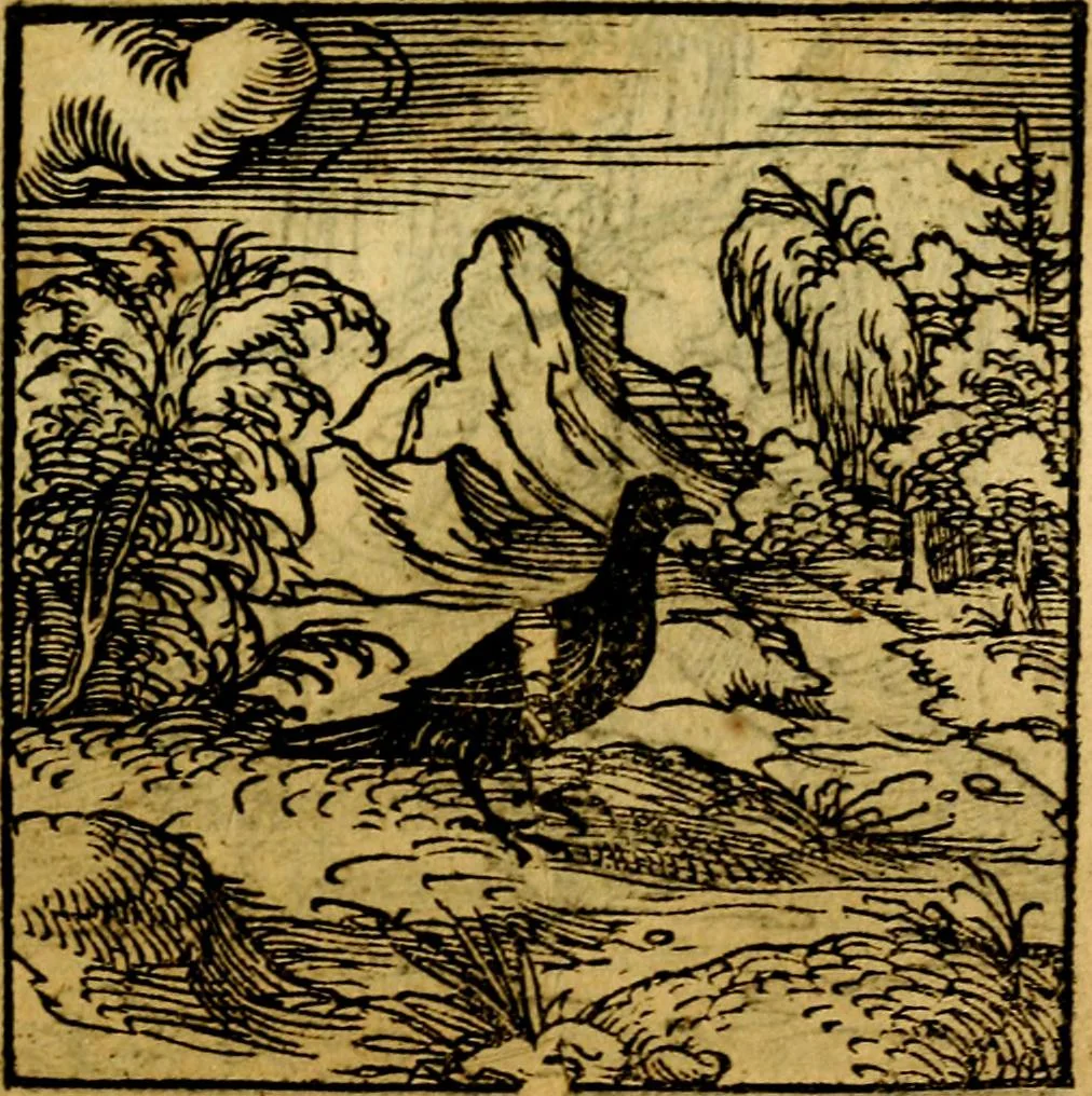An illustration from Ori Apollonis Niliaci, de sacris notis & sculpturis libri duo, vbi ad fidem vetudti codicis manu scripti restituta sunt loca permulta, corrupta ante ac deplorata, 1551, leaf 156