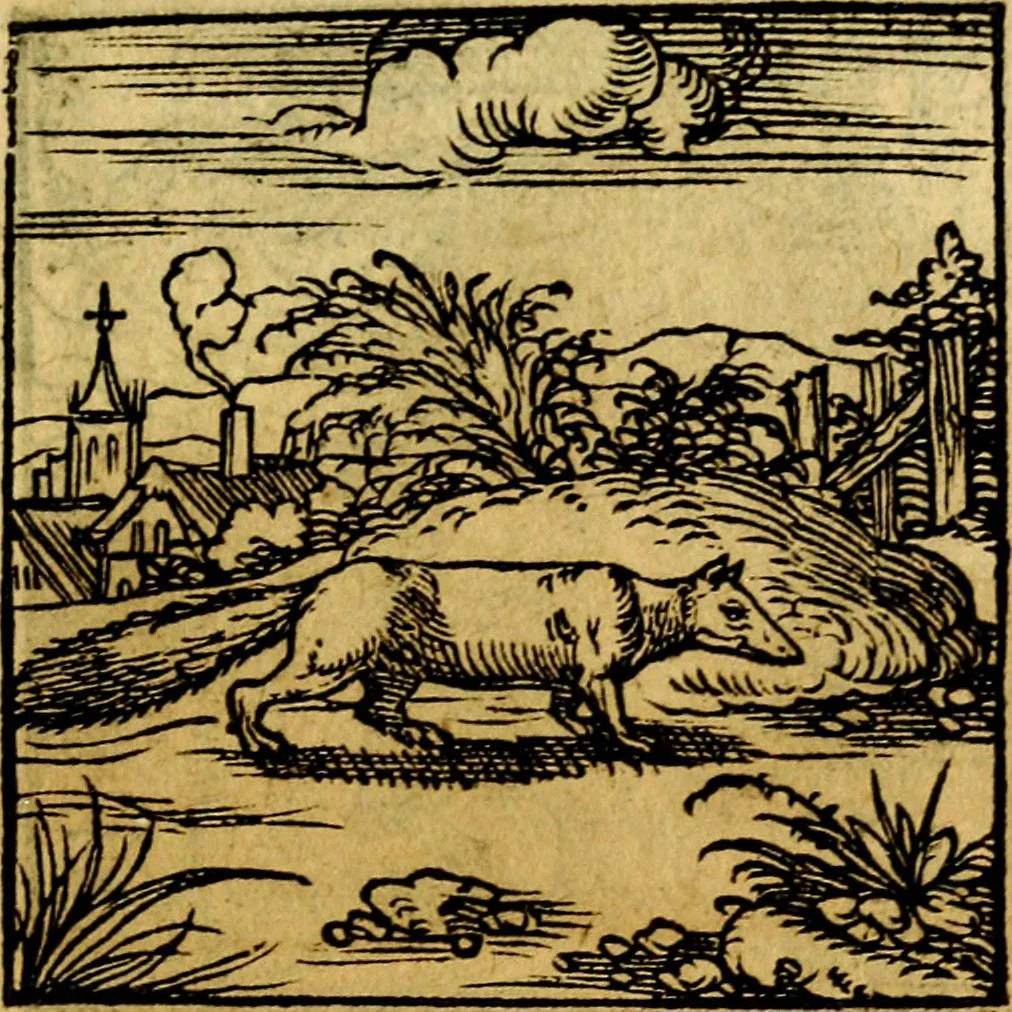 An illustration from Ori Apollonis Niliaci, de sacris notis & sculpturis libri duo, vbi ad fidem vetudti codicis manu scripti restituta sunt loca permulta, corrupta ante ac deplorata, 1551, leaf 160