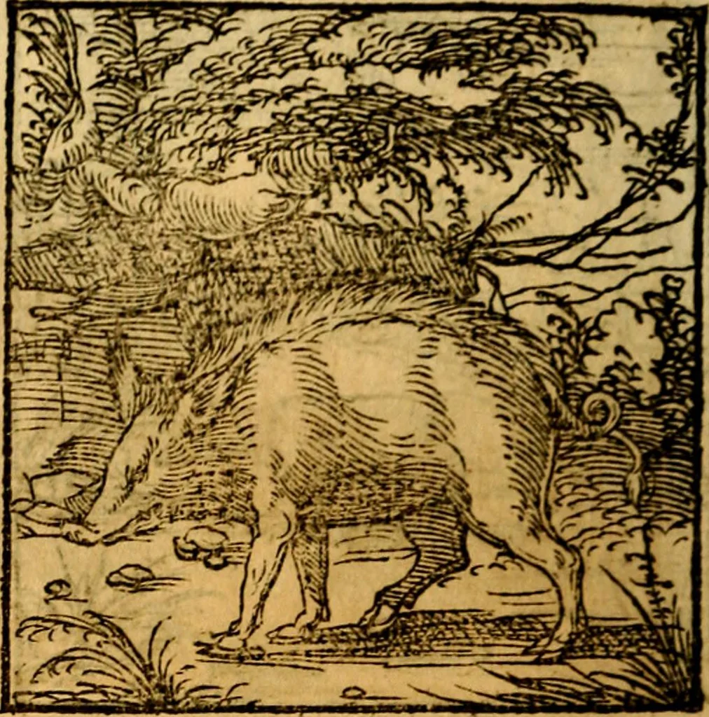 An illustration from Ori Apollonis Niliaci, de sacris notis & sculpturis libri duo, vbi ad fidem vetudti codicis manu scripti restituta sunt loca permulta, corrupta ante ac deplorata, 1551, leaf 161