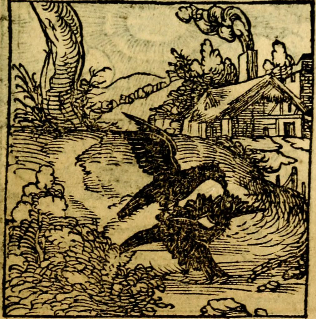 An illustration from Ori Apollonis Niliaci, de sacris notis & sculpturis libri duo, vbi ad fidem vetudti codicis manu scripti restituta sunt loca permulta, corrupta ante ac deplorata, 1551, leaf 164