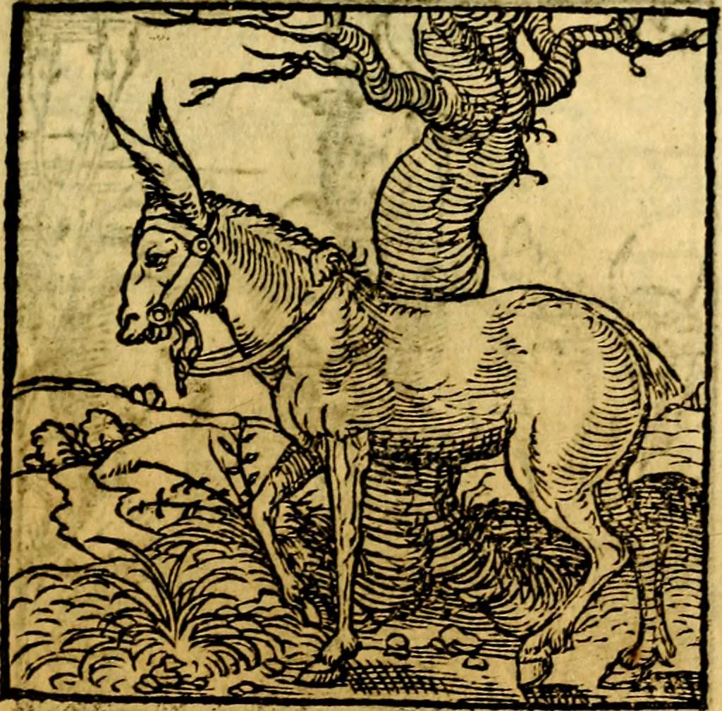 An illustration from Ori Apollonis Niliaci, de sacris notis & sculpturis libri duo, vbi ad fidem vetudti codicis manu scripti restituta sunt loca permulta, corrupta ante ac deplorata, 1551, leaf 166
