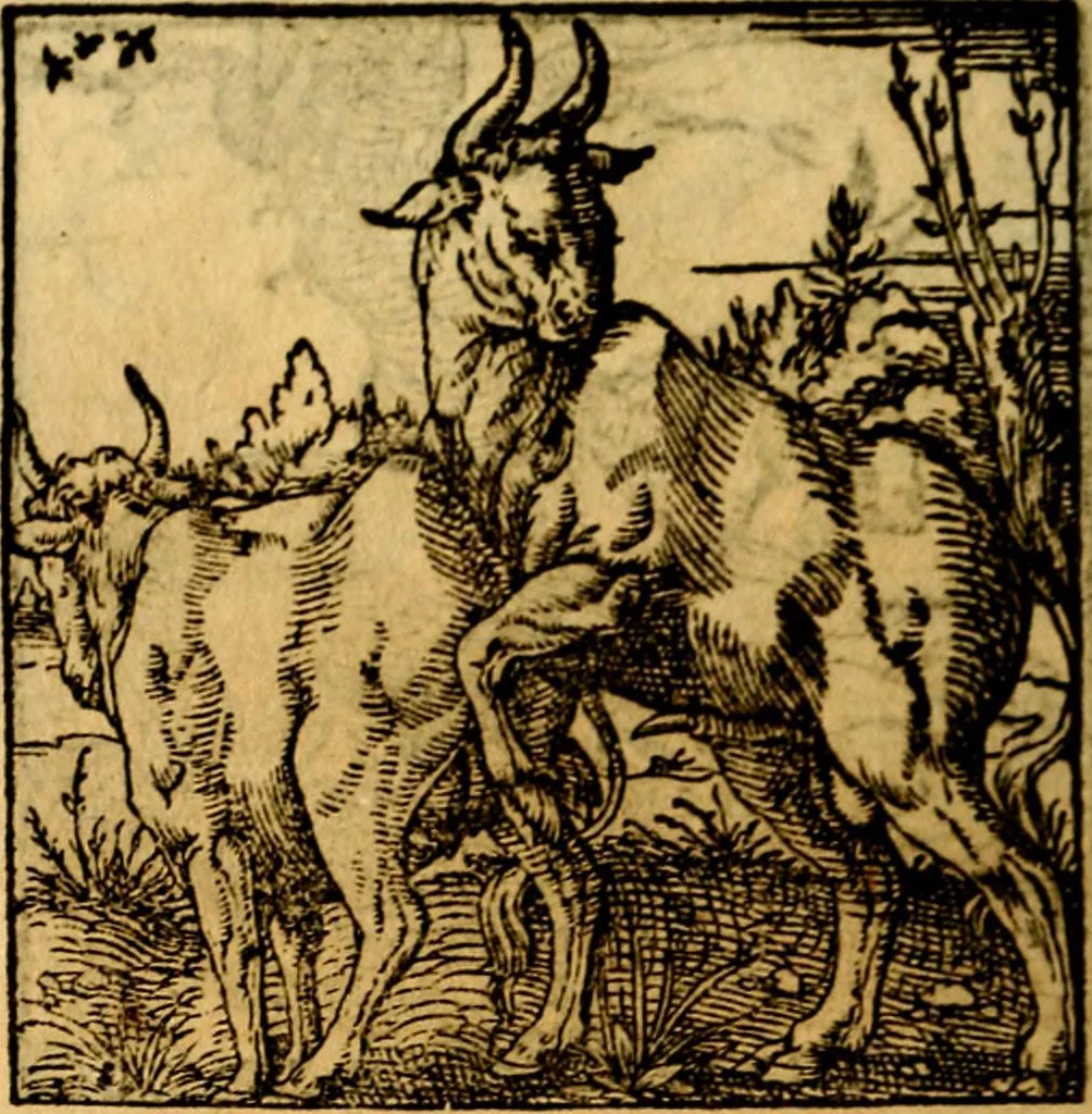 An illustration from Ori Apollonis Niliaci, de sacris notis & sculpturis libri duo, vbi ad fidem vetudti codicis manu scripti restituta sunt loca permulta, corrupta ante ac deplorata, 1551, leaf 167