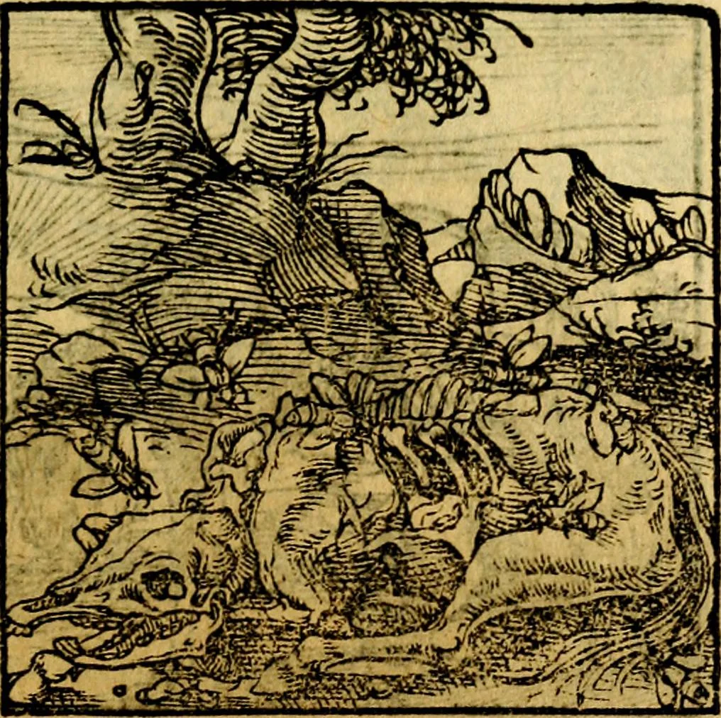 An illustration from Ori Apollonis Niliaci, de sacris notis & sculpturis libri duo, vbi ad fidem vetudti codicis manu scripti restituta sunt loca permulta, corrupta ante ac deplorata, 1551, leaf 168