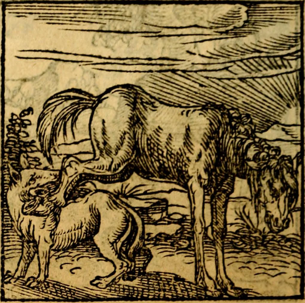 An illustration from Ori Apollonis Niliaci, de sacris notis & sculpturis libri duo, vbi ad fidem vetudti codicis manu scripti restituta sunt loca permulta, corrupta ante ac deplorata, 1551, leaf 169