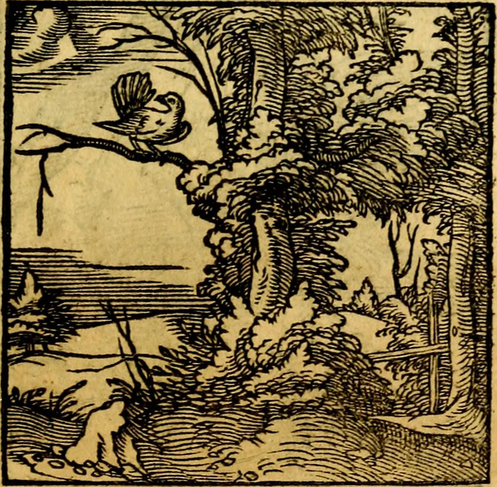 An illustration from Ori Apollonis Niliaci, de sacris notis & sculpturis libri duo, vbi ad fidem vetudti codicis manu scripti restituta sunt loca permulta, corrupta ante ac deplorata, 1551, leaf 172
