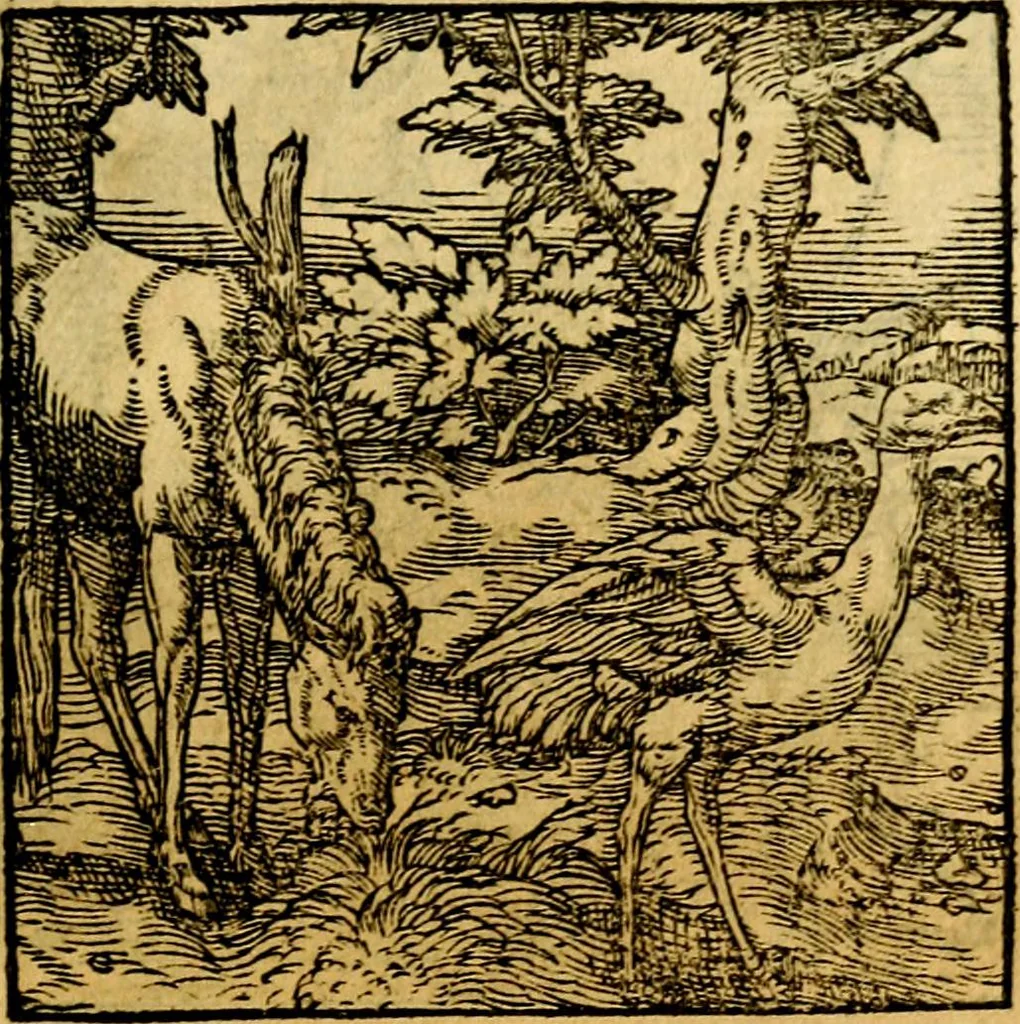 An illustration from Ori Apollonis Niliaci, de sacris notis & sculpturis libri duo, vbi ad fidem vetudti codicis manu scripti restituta sunt loca permulta, corrupta ante ac deplorata, 1551, leaf 174