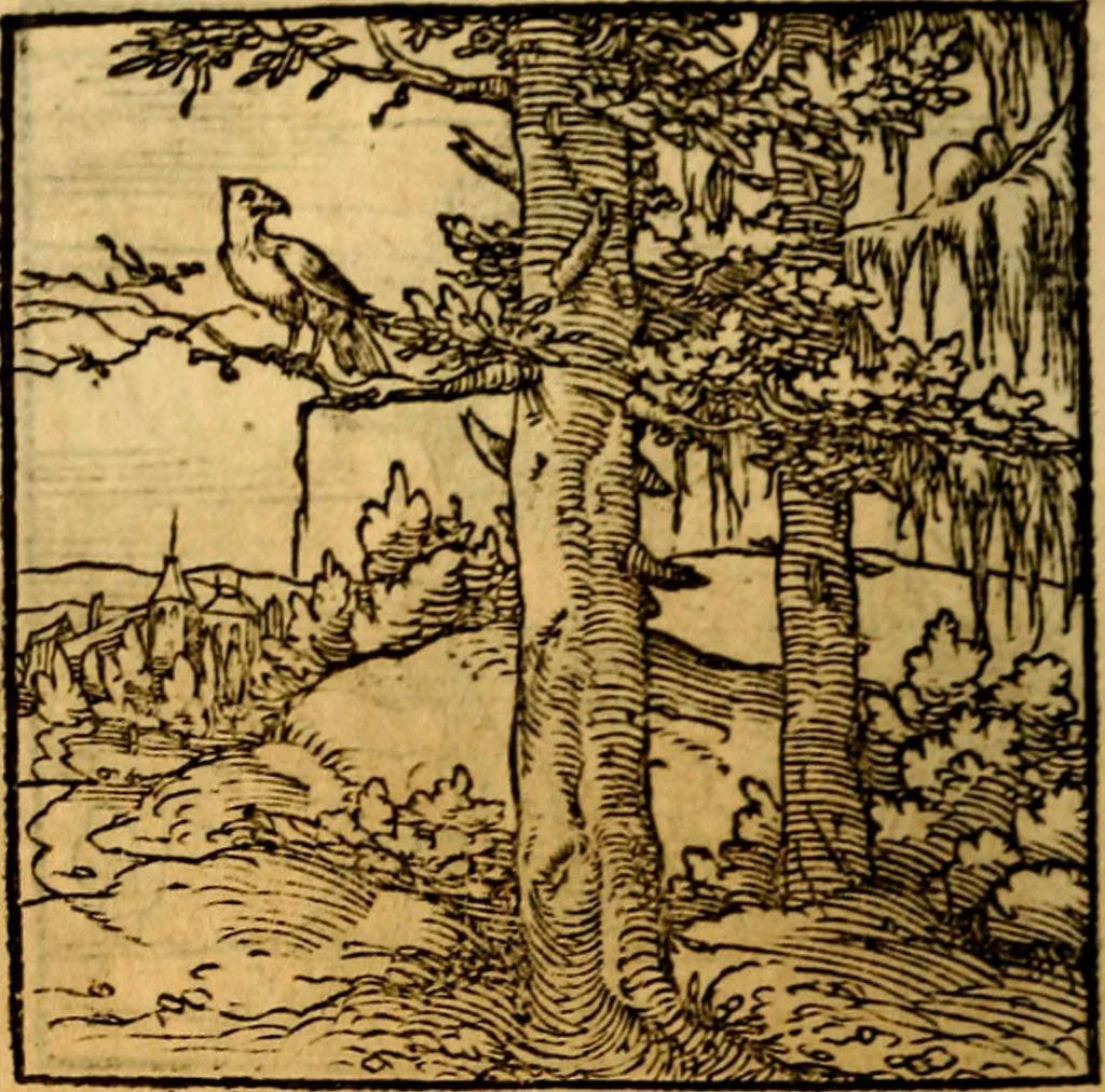 An illustration from Ori Apollonis Niliaci, de sacris notis & sculpturis libri duo, vbi ad fidem vetudti codicis manu scripti restituta sunt loca permulta, corrupta ante ac deplorata, 1551, leaf 177