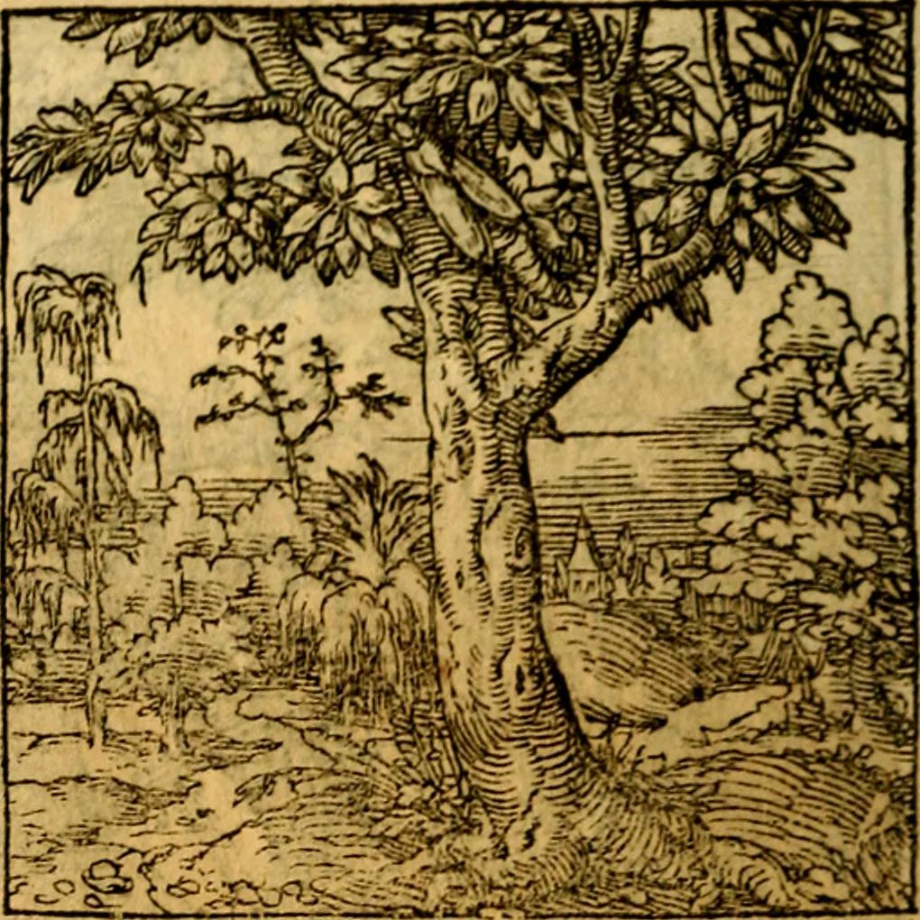 An illustration from Ori Apollonis Niliaci, de sacris notis & sculpturis libri duo, vbi ad fidem vetudti codicis manu scripti restituta sunt loca permulta, corrupta ante ac deplorata, 1551, leaf 179
