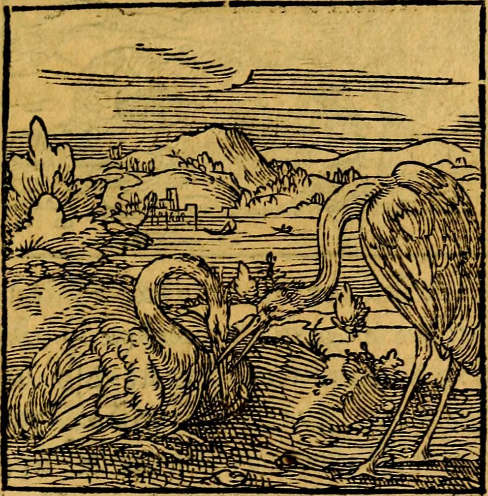 An illustration from Ori Apollonis Niliaci, de sacris notis & sculpturis libri duo, vbi ad fidem vetudti codicis manu scripti restituta sunt loca permulta, corrupta ante ac deplorata, 1551, leaf 182