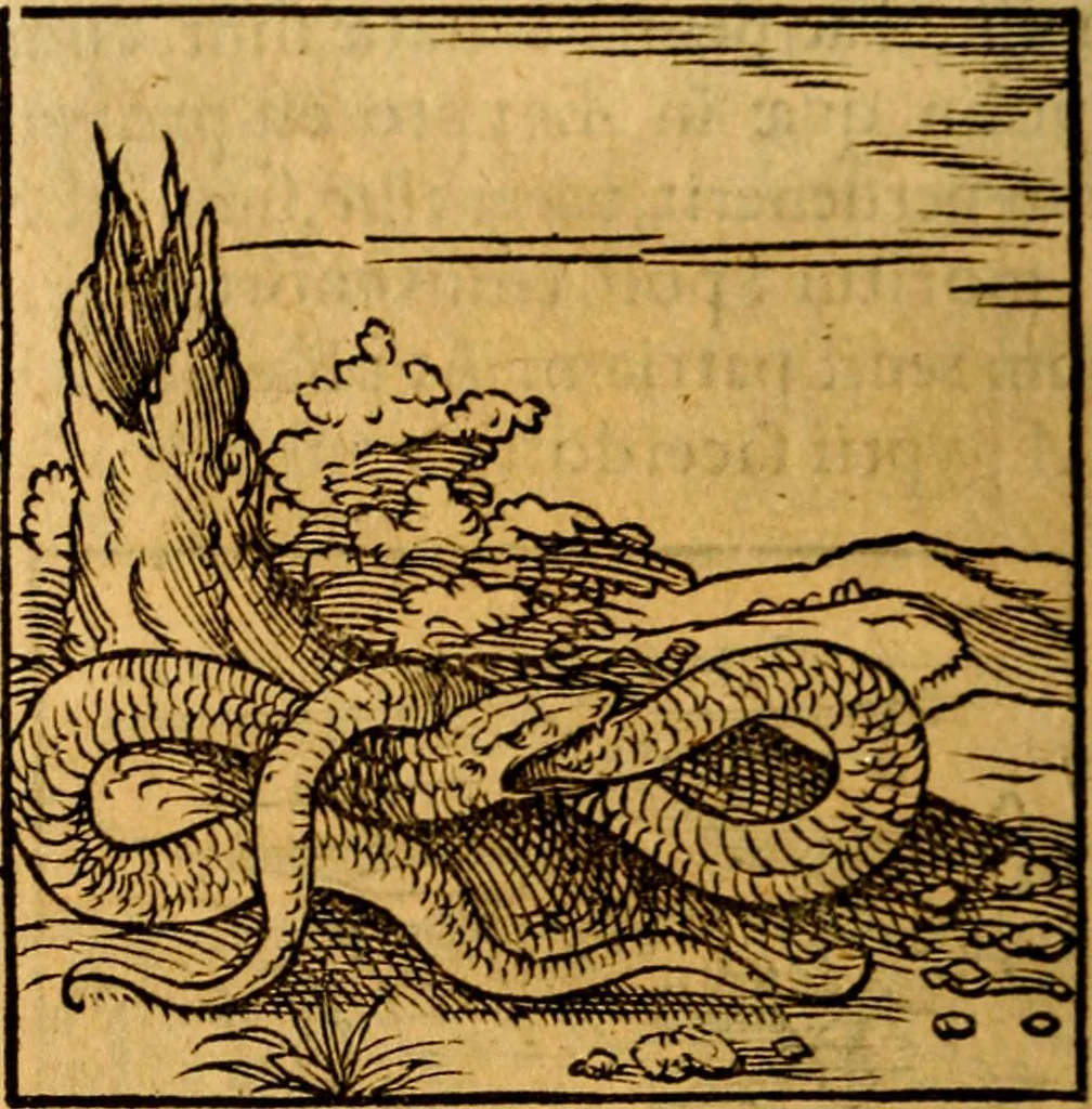 An illustration from Ori Apollonis Niliaci, de sacris notis & sculpturis libri duo, vbi ad fidem vetudti codicis manu scripti restituta sunt loca permulta, corrupta ante ac deplorata, 1551, leaf 183