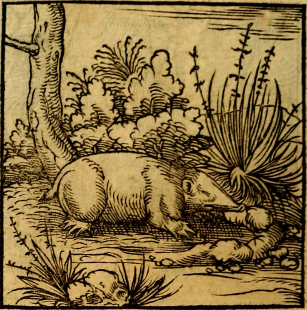 An illustration from Ori Apollonis Niliaci, de sacris notis & sculpturis libri duo, vbi ad fidem vetudti codicis manu scripti restituta sunt loca permulta, corrupta ante ac deplorata, 1551, leaf 187