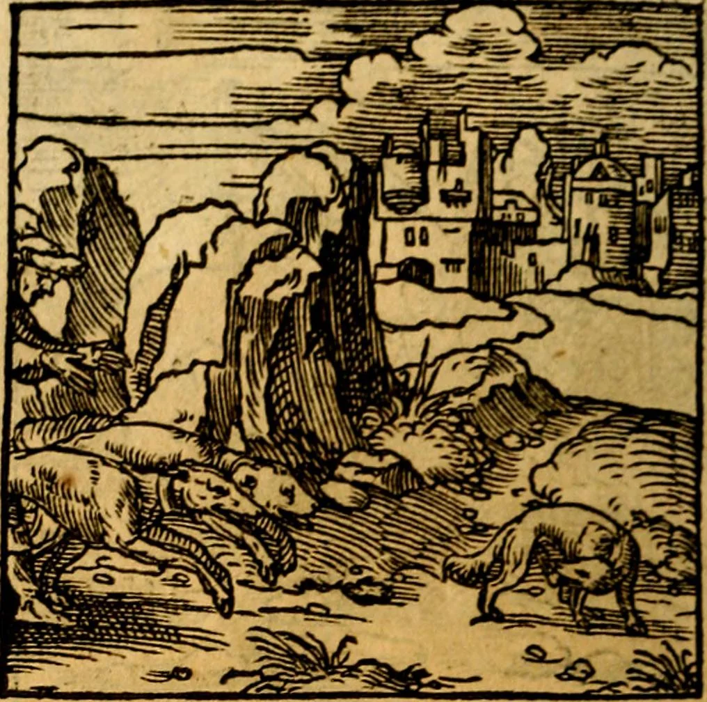 An illustration from Ori Apollonis Niliaci, de sacris notis & sculpturis libri duo, vbi ad fidem vetudti codicis manu scripti restituta sunt loca permulta, corrupta ante ac deplorata, 1551, leaf 189