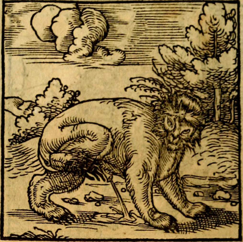 An illustration from Ori Apollonis Niliaci, de sacris notis & sculpturis libri duo, vbi ad fidem vetudti codicis manu scripti restituta sunt loca permulta, corrupta ante ac deplorata, 1551, leaf 191