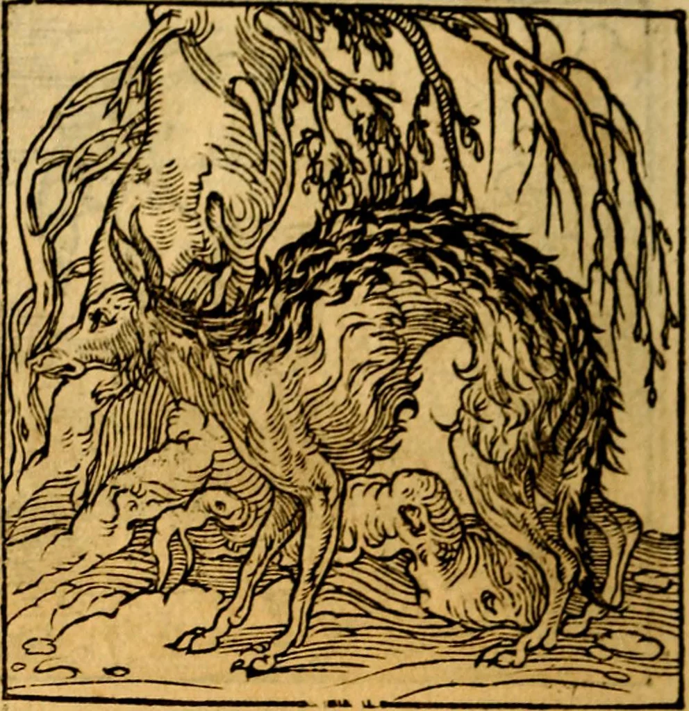 An illustration from Ori Apollonis Niliaci, de sacris notis & sculpturis libri duo, vbi ad fidem vetudti codicis manu scripti restituta sunt loca permulta, corrupta ante ac deplorata, 1551, leaf 193