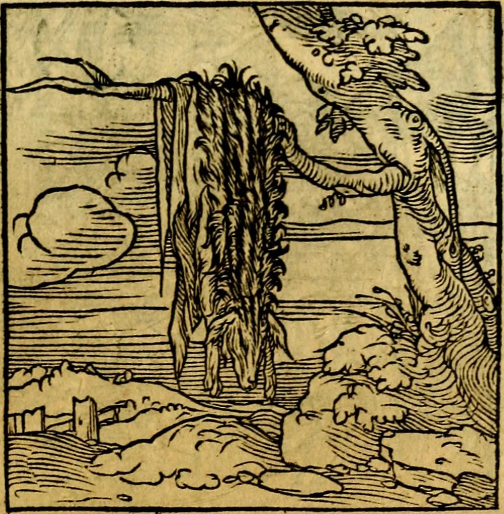 An illustration from Ori Apollonis Niliaci, de sacris notis & sculpturis libri duo, vbi ad fidem vetudti codicis manu scripti restituta sunt loca permulta, corrupta ante ac deplorata, 1551, leaf 196