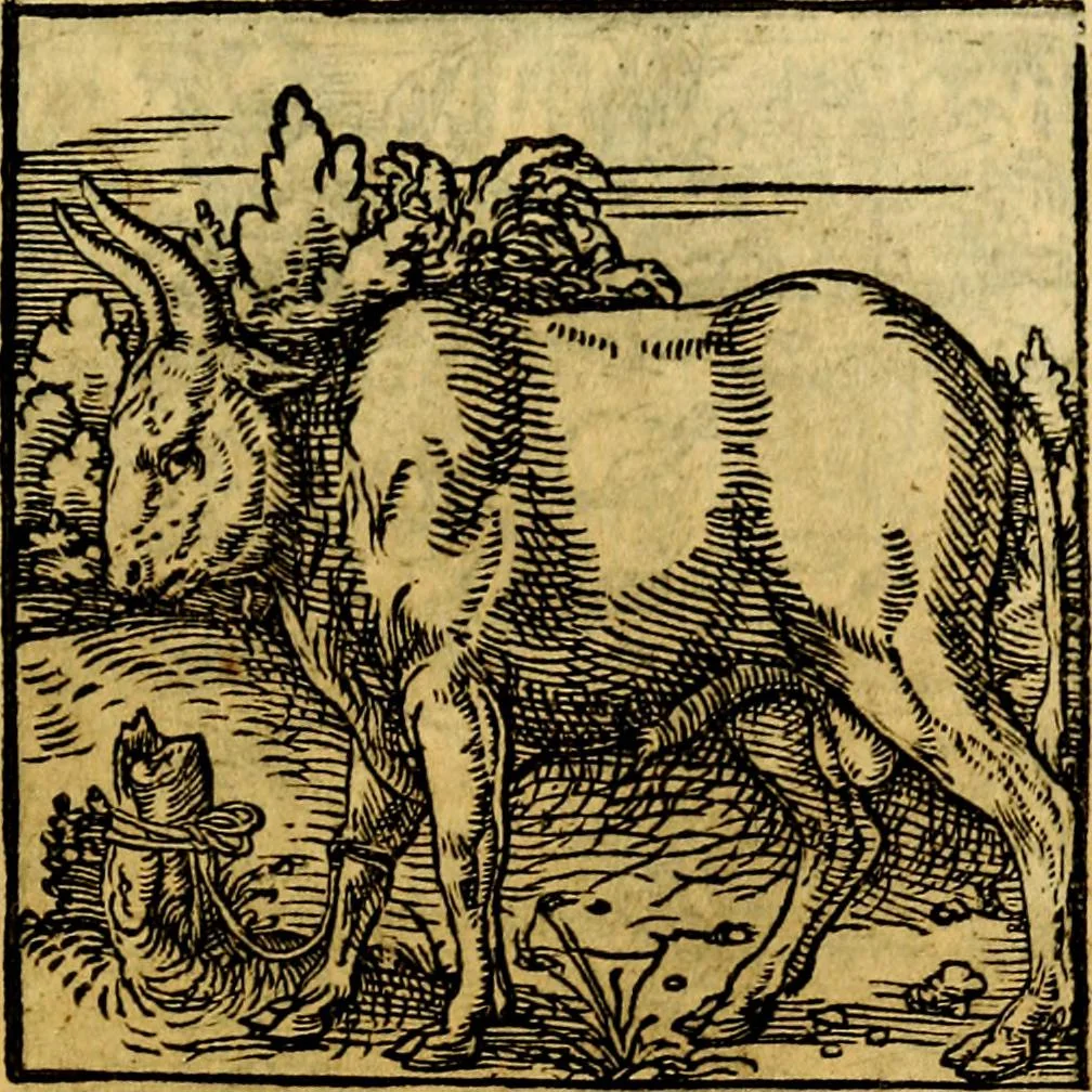 An illustration from Ori Apollonis Niliaci, de sacris notis & sculpturis libri duo, vbi ad fidem vetudti codicis manu scripti restituta sunt loca permulta, corrupta ante ac deplorata, 1551, leaf 202
