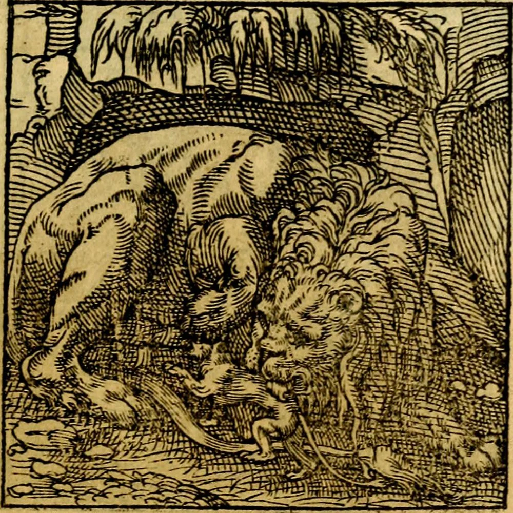 An illustration from Ori Apollonis Niliaci, de sacris notis & sculpturis libri duo, vbi ad fidem vetudti codicis manu scripti restituta sunt loca permulta, corrupta ante ac deplorata, 1551, leaf 206