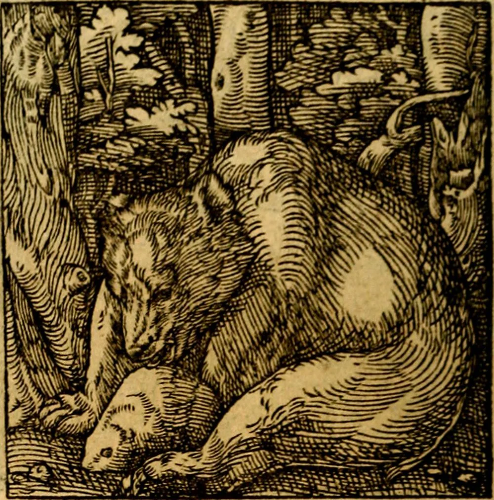 An illustration from Ori Apollonis Niliaci, de sacris notis & sculpturis libri duo, vbi ad fidem vetudti codicis manu scripti restituta sunt loca permulta, corrupta ante ac deplorata, 1551, leaf 207