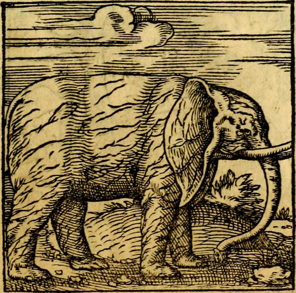 An illustration from Ori Apollonis Niliaci, de sacris notis & sculpturis libri duo, vbi ad fidem vetudti codicis manu scripti restituta sunt loca permulta, corrupta ante ac deplorata, 1551, leaf 208