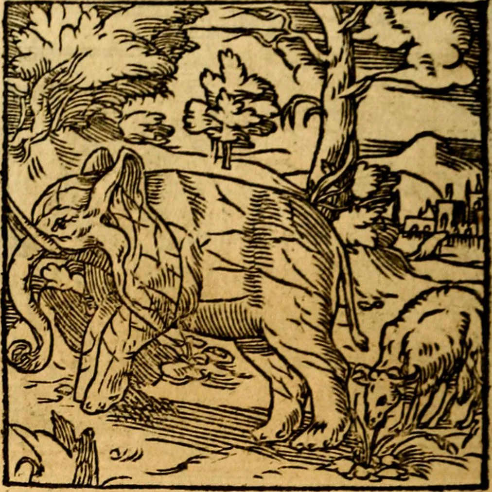 An illustration from Ori Apollonis Niliaci, de sacris notis & sculpturis libri duo, vbi ad fidem vetudti codicis manu scripti restituta sunt loca permulta, corrupta ante ac deplorata, 1551, leaf 209