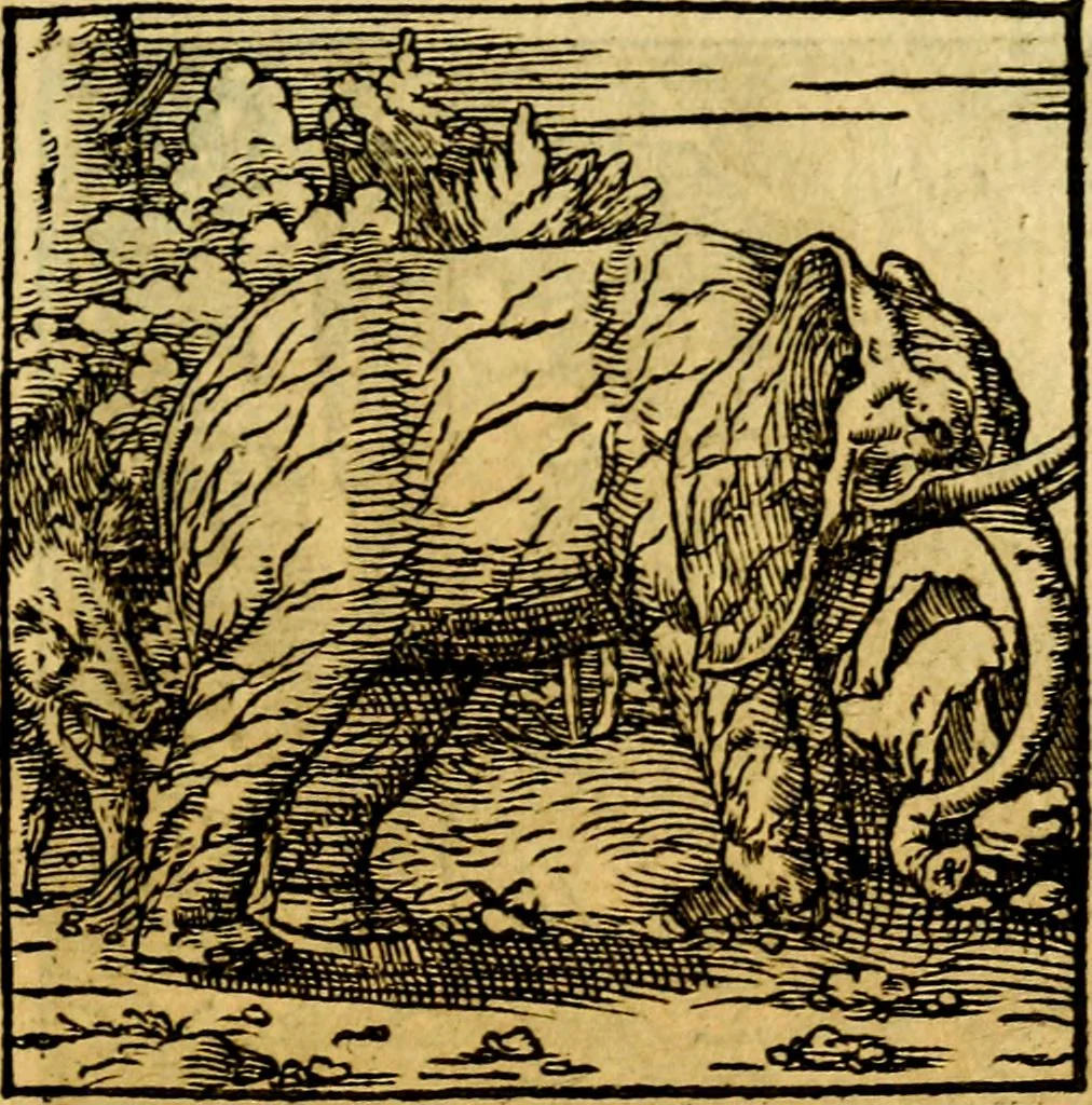 An illustration from Ori Apollonis Niliaci, de sacris notis & sculpturis libri duo, vbi ad fidem vetudti codicis manu scripti restituta sunt loca permulta, corrupta ante ac deplorata, 1551, leaf 210