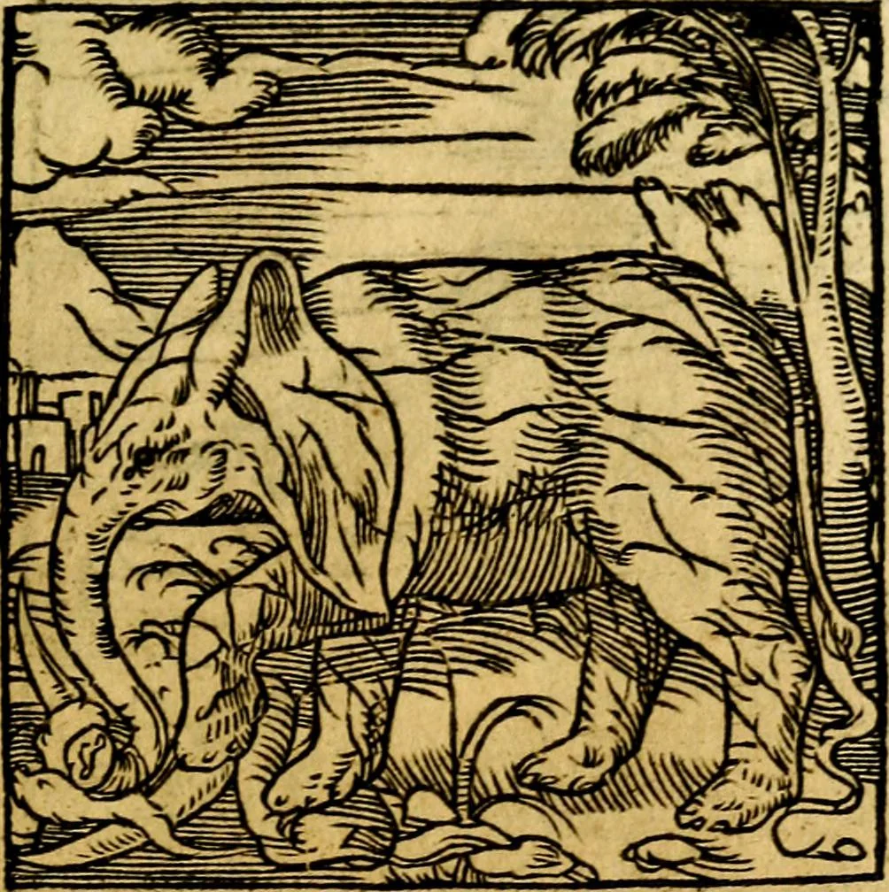 An illustration from Ori Apollonis Niliaci, de sacris notis & sculpturis libri duo, vbi ad fidem vetudti codicis manu scripti restituta sunt loca permulta, corrupta ante ac deplorata, 1551, leaf 212
