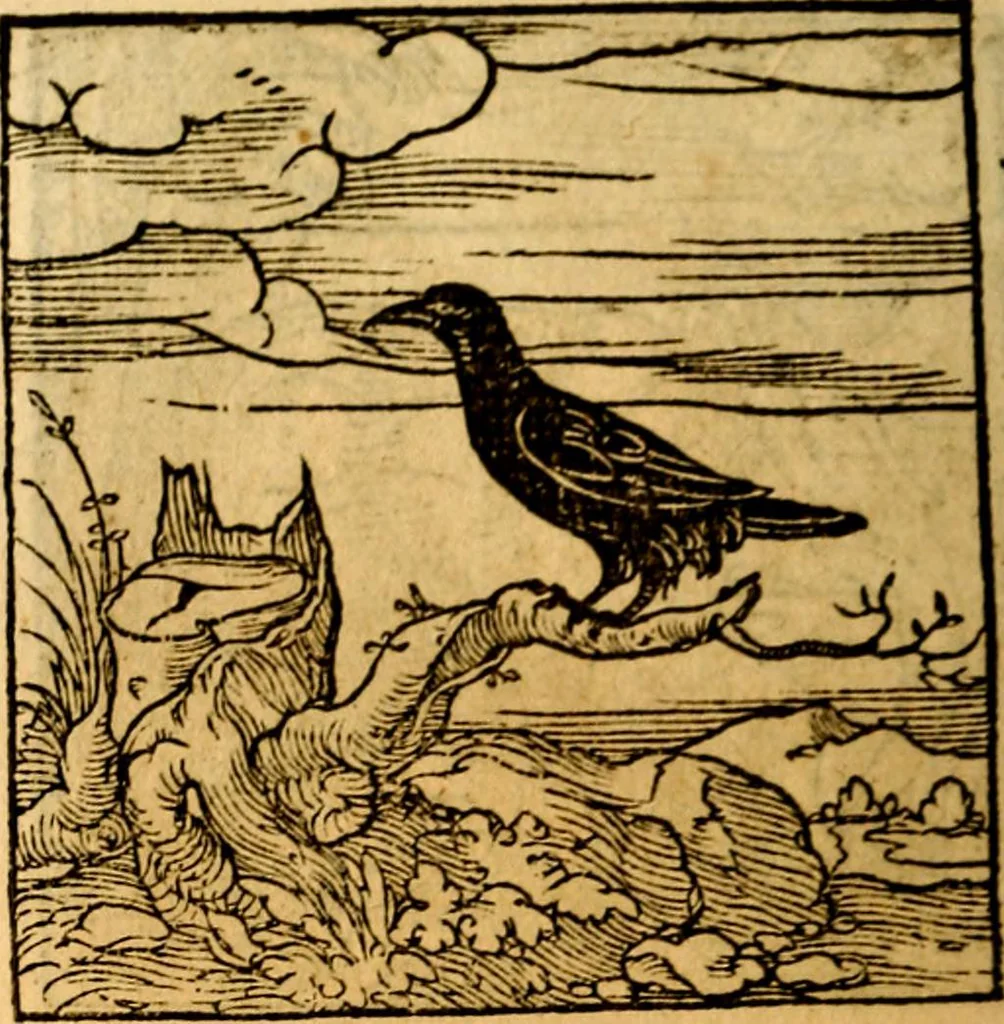 An illustration from Ori Apollonis Niliaci, de sacris notis & sculpturis libri duo, vbi ad fidem vetudti codicis manu scripti restituta sunt loca permulta, corrupta ante ac deplorata, 1551, leaf 213