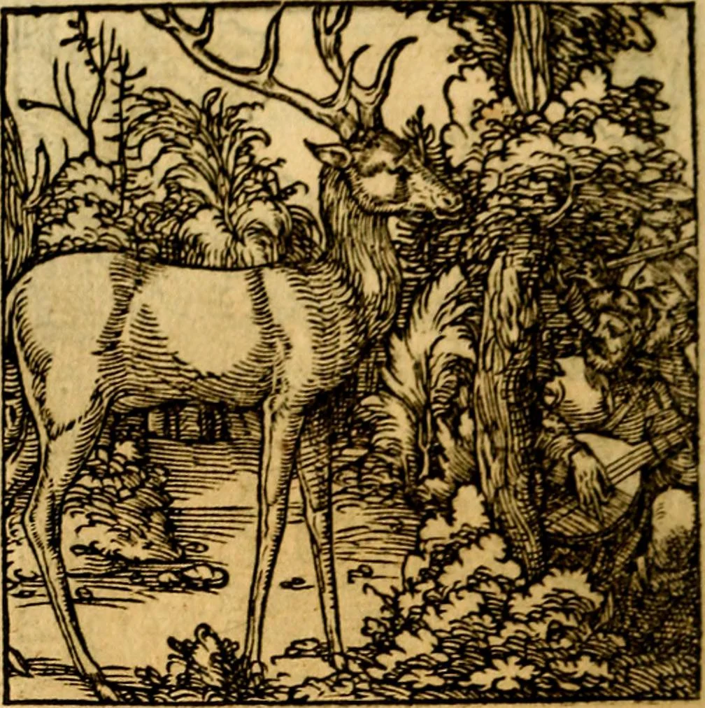 An illustration from Ori Apollonis Niliaci, de sacris notis & sculpturis libri duo, vbi ad fidem vetudti codicis manu scripti restituta sunt loca permulta, corrupta ante ac deplorata, 1551, leaf 215