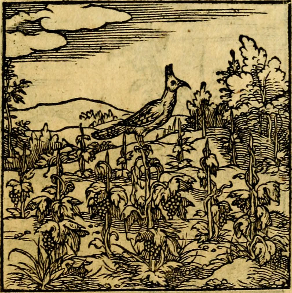 An illustration from Ori Apollonis Niliaci, de sacris notis & sculpturis libri duo, vbi ad fidem vetudti codicis manu scripti restituta sunt loca permulta, corrupta ante ac deplorata, 1551, leaf 216