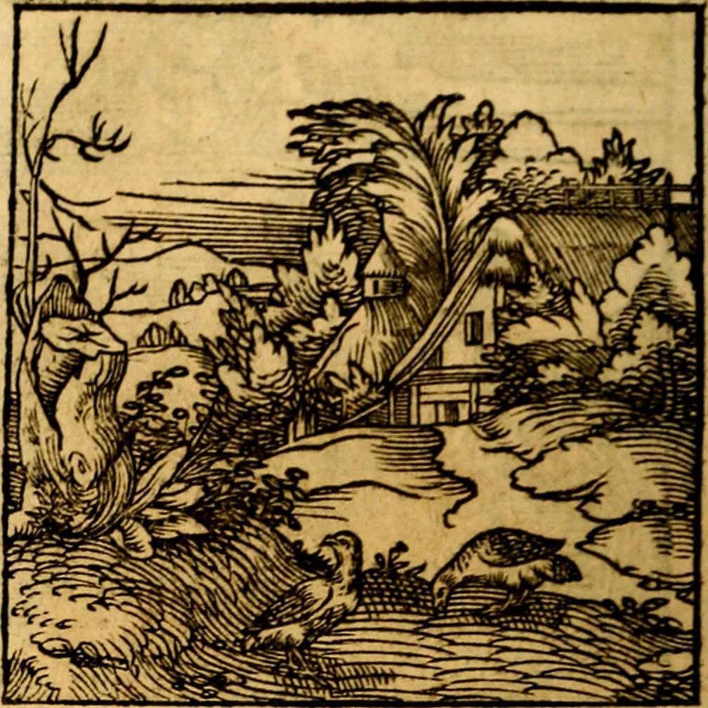 An illustration from Ori Apollonis Niliaci, de sacris notis & sculpturis libri duo, vbi ad fidem vetudti codicis manu scripti restituta sunt loca permulta, corrupta ante ac deplorata, 1551, leaf 219