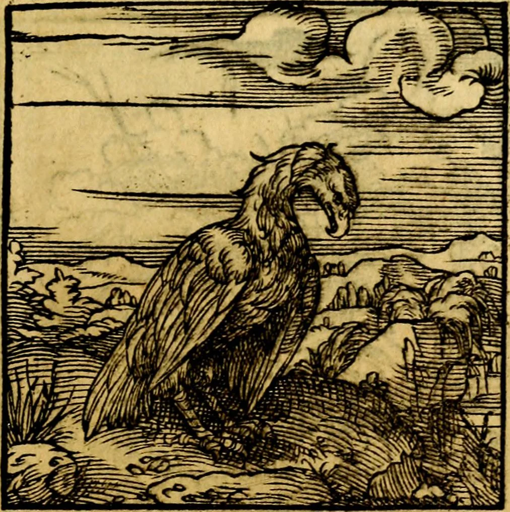 An illustration from Ori Apollonis Niliaci, de sacris notis & sculpturis libri duo, vbi ad fidem vetudti codicis manu scripti restituta sunt loca permulta, corrupta ante ac deplorata, 1551, leaf 220