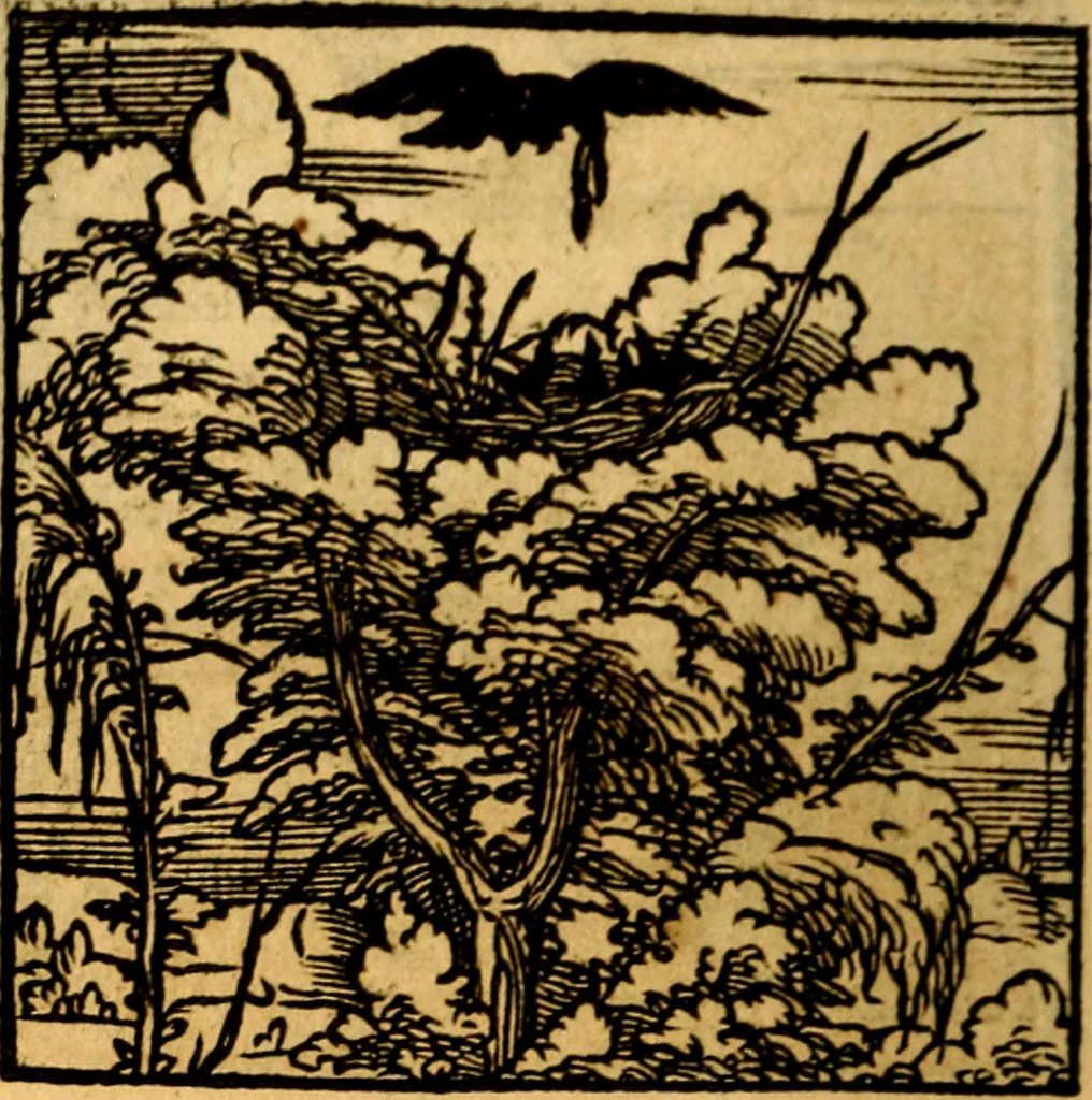 An illustration from Ori Apollonis Niliaci, de sacris notis & sculpturis libri duo, vbi ad fidem vetudti codicis manu scripti restituta sunt loca permulta, corrupta ante ac deplorata, 1551, leaf 221