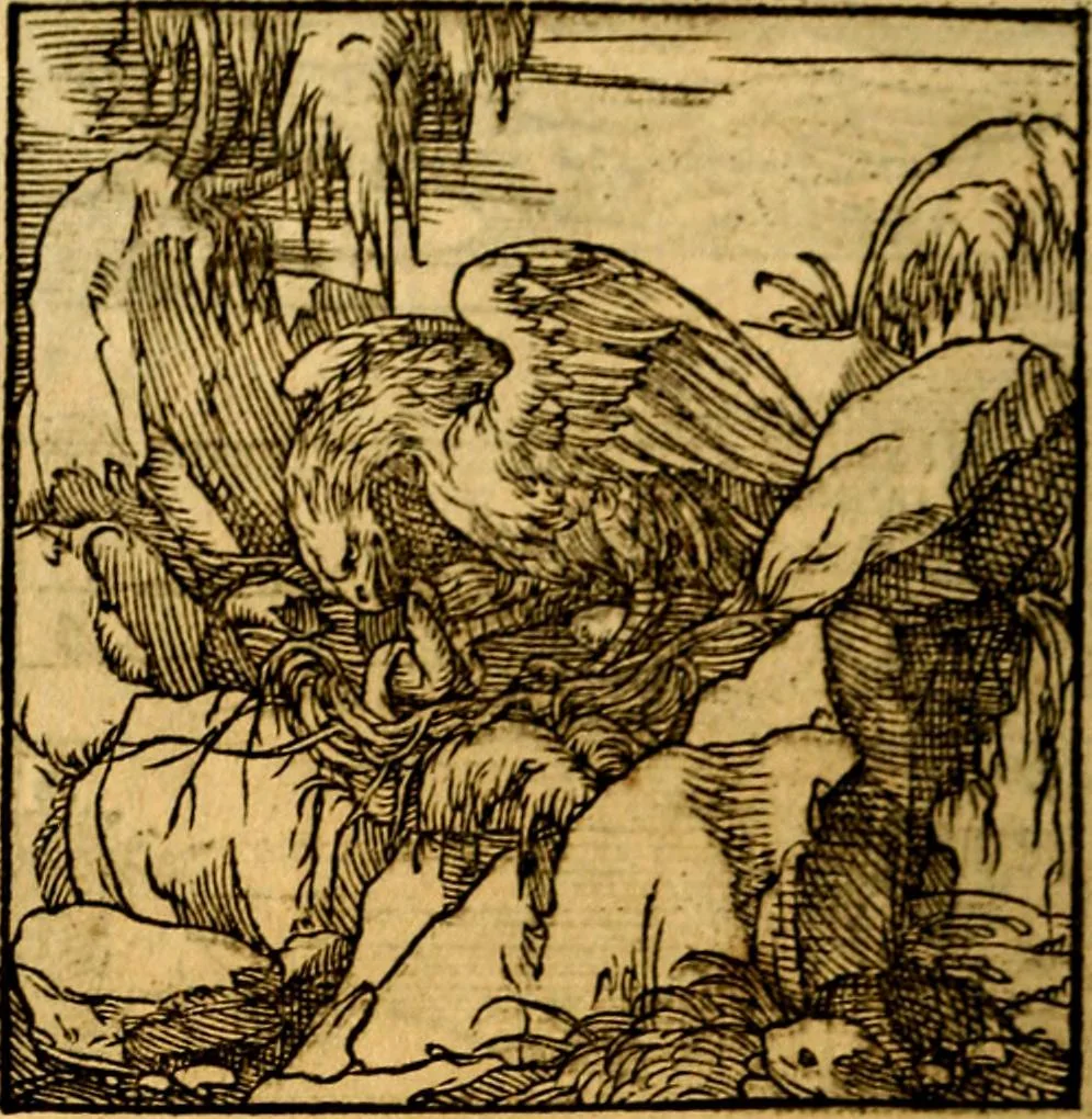 An illustration from Ori Apollonis Niliaci, de sacris notis & sculpturis libri duo, vbi ad fidem vetudti codicis manu scripti restituta sunt loca permulta, corrupta ante ac deplorata, 1551, leaf 223