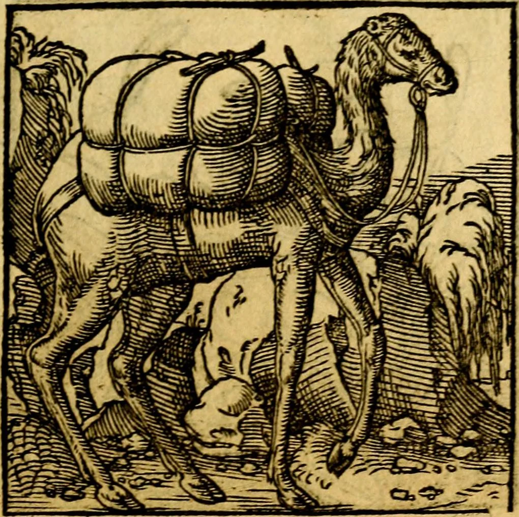 An illustration from Ori Apollonis Niliaci, de sacris notis & sculpturis libri duo, vbi ad fidem vetudti codicis manu scripti restituta sunt loca permulta, corrupta ante ac deplorata, 1551, leaf 224
