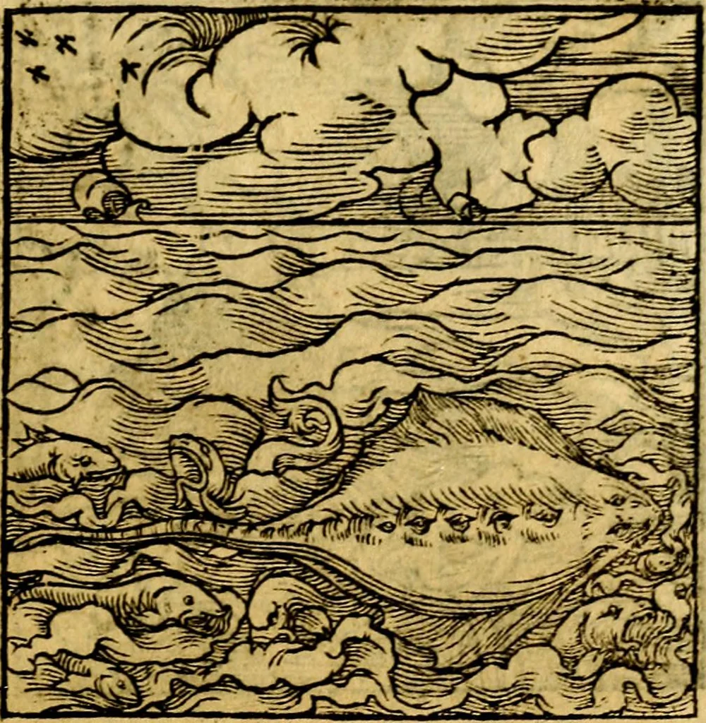 An illustration from Ori Apollonis Niliaci, de sacris notis & sculpturis libri duo, vbi ad fidem vetudti codicis manu scripti restituta sunt loca permulta, corrupta ante ac deplorata, 1551, leaf 228
