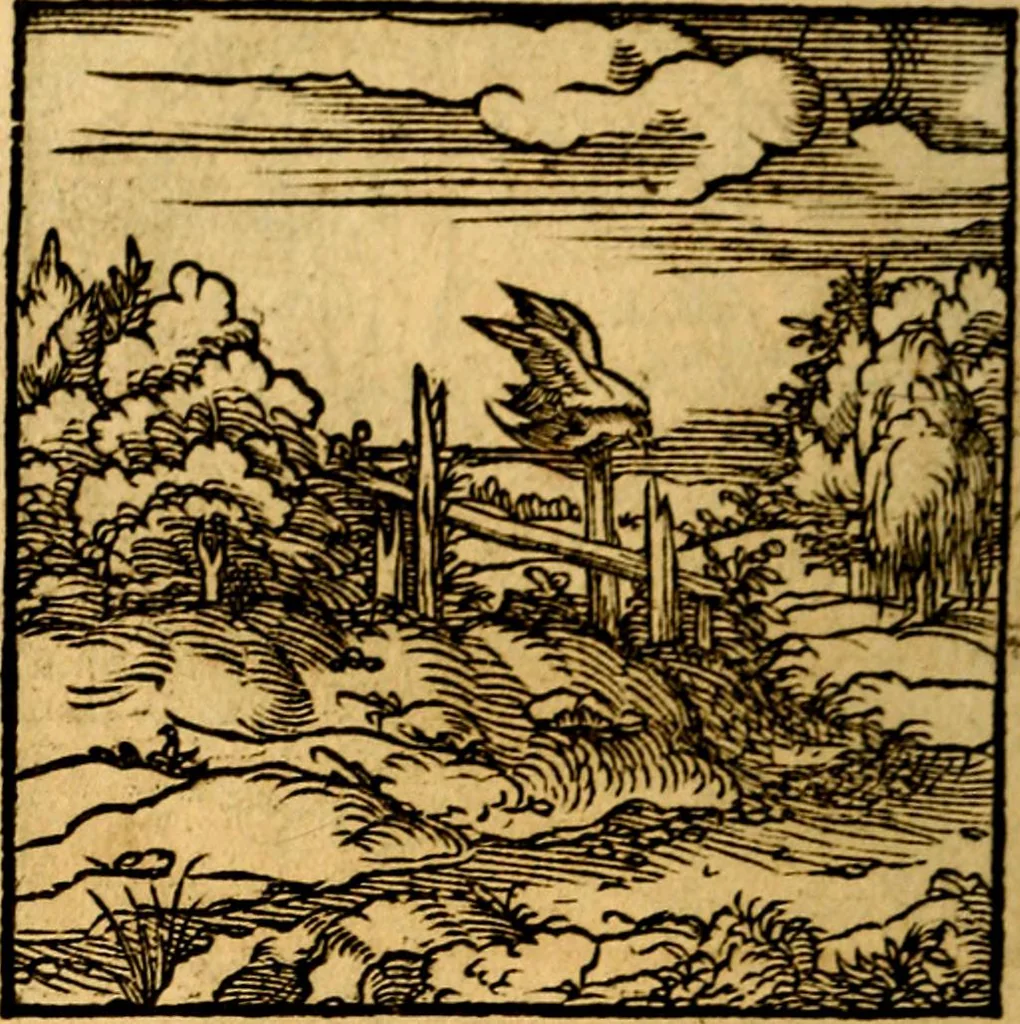 An illustration from Ori Apollonis Niliaci, de sacris notis & sculpturis libri duo, vbi ad fidem vetudti codicis manu scripti restituta sunt loca permulta, corrupta ante ac deplorata, 1551, leaf 239