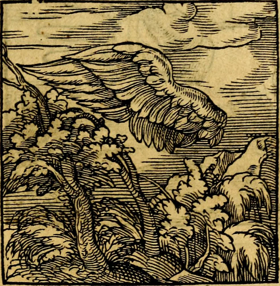 An illustration from Ori Apollonis Niliaci, de sacris notis & sculpturis libri duo, vbi ad fidem vetudti codicis manu scripti restituta sunt loca permulta, corrupta ante ac deplorata, 1551, leaf 242