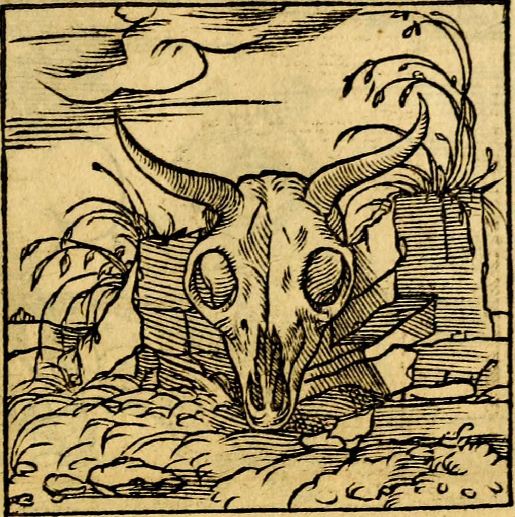 An illustration from Ori Apollonis Niliaci, de sacris notis & sculpturis libri duo, vbi ad fidem vetudti codicis manu scripti restituta sunt loca permulta, corrupta ante ac deplorata, 1551, leaf 248