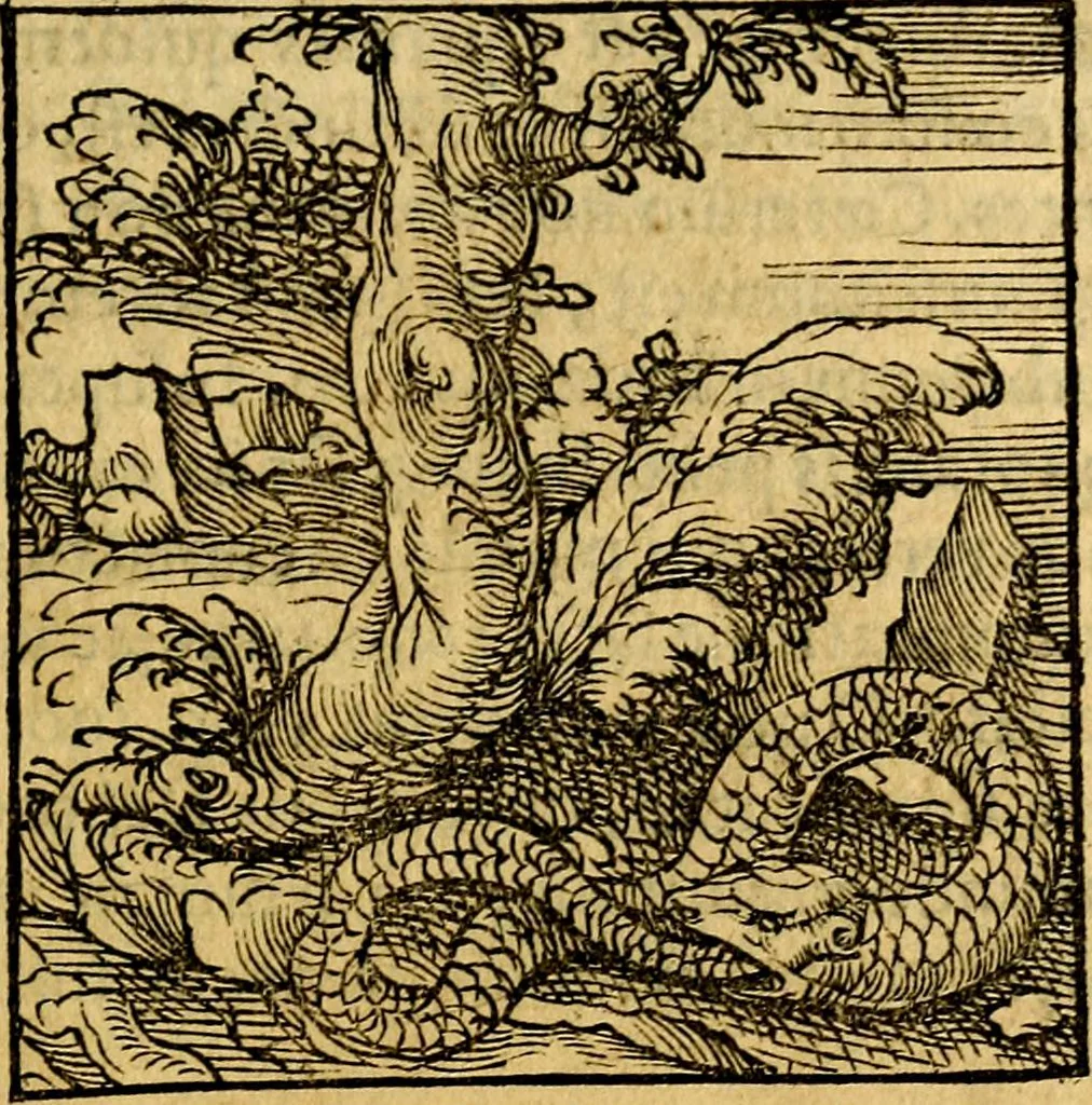 An illustration from Ori Apollonis Niliaci, de sacris notis & sculpturis libri duo, vbi ad fidem vetudti codicis manu scripti restituta sunt loca permulta, corrupta ante ac deplorata, 1551, leaf 30