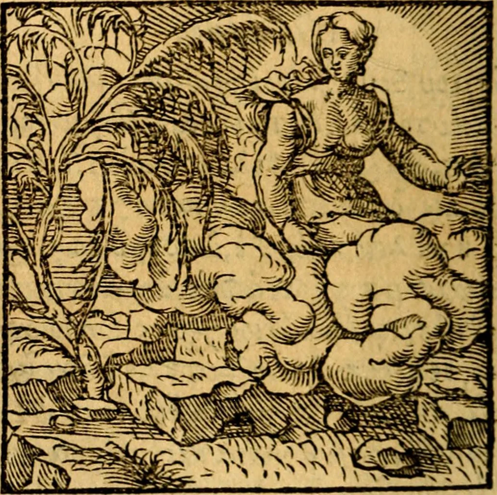 An illustration from Ori Apollonis Niliaci, de sacris notis & sculpturis libri duo, vbi ad fidem vetudti codicis manu scripti restituta sunt loca permulta, corrupta ante ac deplorata, 1551, leaf 31