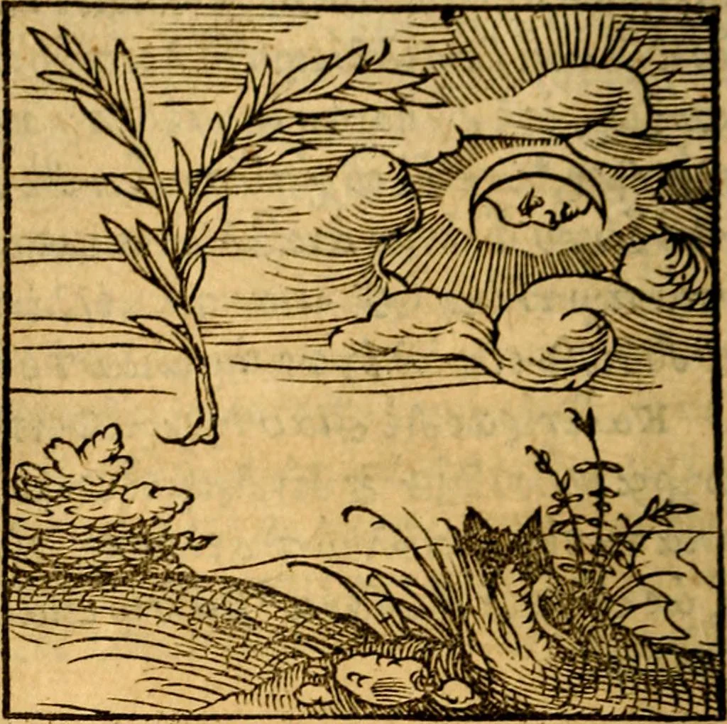 An illustration from Ori Apollonis Niliaci, de sacris notis & sculpturis libri duo, vbi ad fidem vetudti codicis manu scripti restituta sunt loca permulta, corrupta ante ac deplorata, 1551, leaf 33